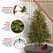 4.5 ft. Pre-lit North Valley Spruce Pencil Artificial Christmas Tree, Clear Lights
